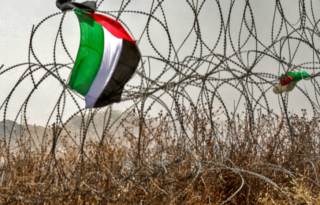 Billet sur la Palestine écrasée et oubliée