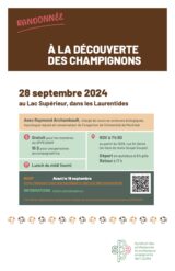 Activité de randonnée : À la découverte des champignons