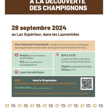 Activité de randonnée : À la découverte des champignons