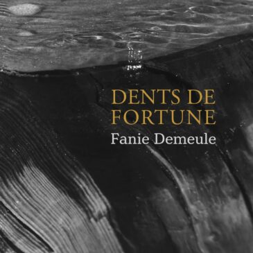 Fanie Demeule rend hommage à ses ancêtres madelinots dans son cinquième roman