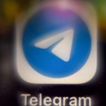 Telegram, «terreau fertile pour la désinformation» selon Nadia Seraiocco