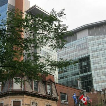 La rentrée universitaire compromise à Concordia