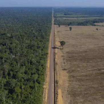 COP16 sur la biodiversité : Les chiffres clés sur l’état alarmant de la nature dans le monde