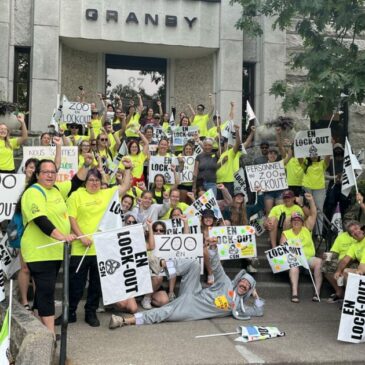 Trêve médiatique et reprise sérieuse de la négociation au Zoo de Granby