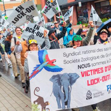 Le Zoo de Granby est une jungle pour ses employé-es