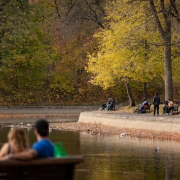 Plus il y a d’arbres, moins les adolescents sont agressifs envers leur douce moitié, révèle une étude de Paul Rodrigues