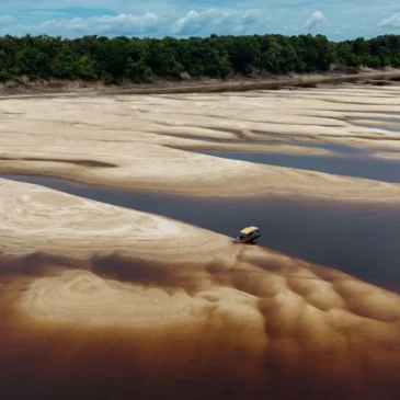 Le climat de la planète sacrifié pour une question d’argent à la COP29?