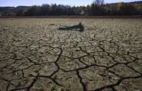 COP29 : La carboneutralité doit être avancée d’une décennie